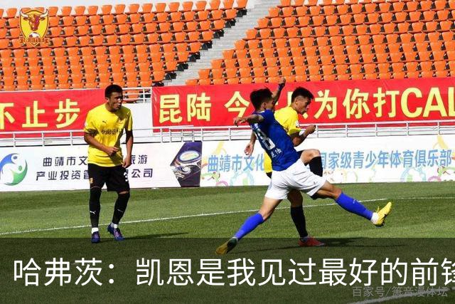 哈弗茨：凯恩是我见过最好的前锋之一；谁进球并不重要
